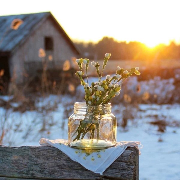 Радостного утра весны