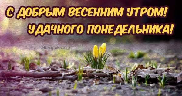 С добрым весенним утром понедельника