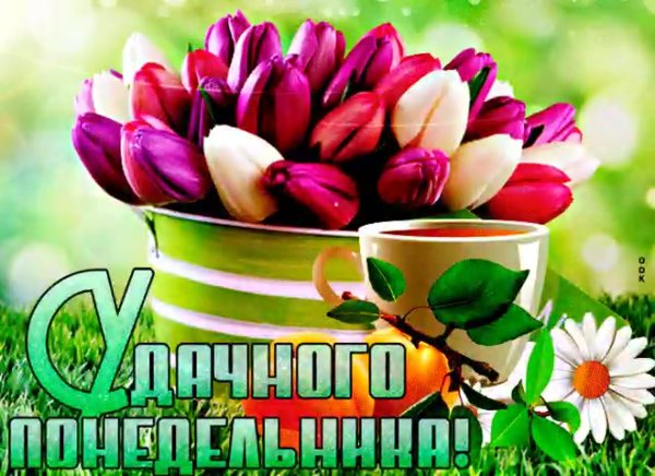Лёгкого понедельниика
