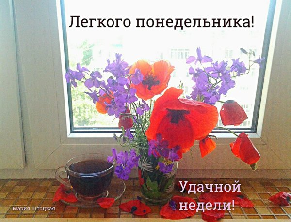 Хорошей весенней недели
