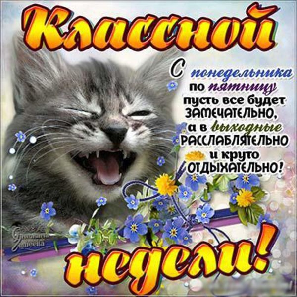 Доброго весеннего понедельника