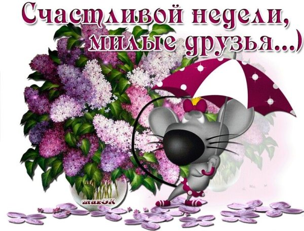 Доброго весеннегопонедеоьника