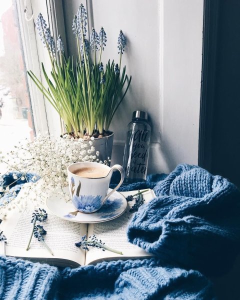 Уютная Весна