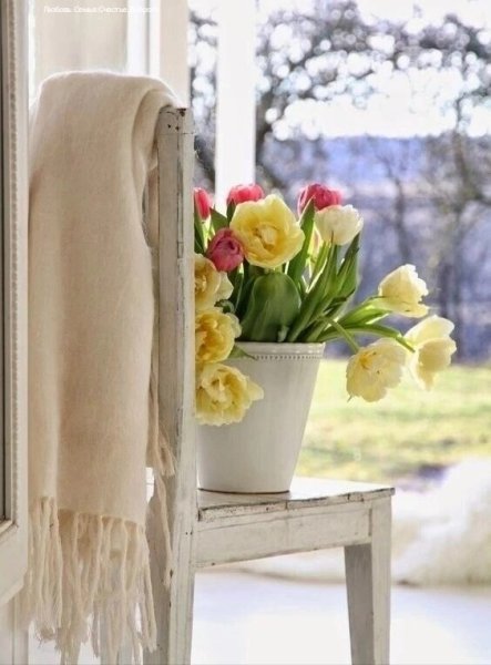 Уютные весенние цветы