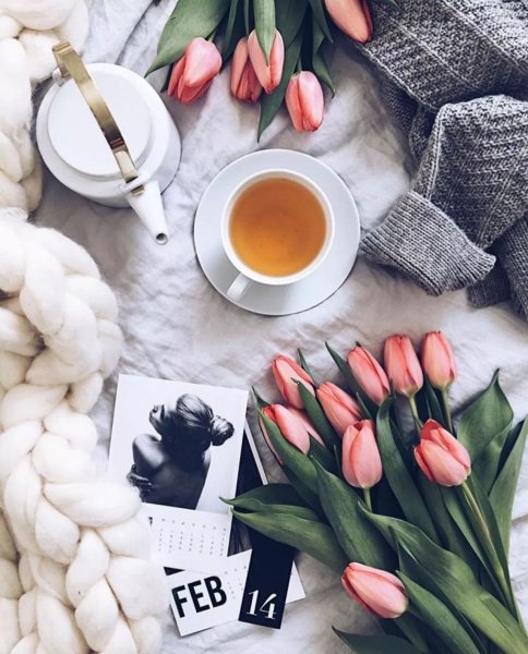 Флэт Лэй тюльпанов