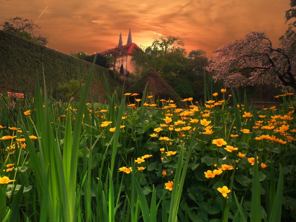 Красивого весеннего вечера