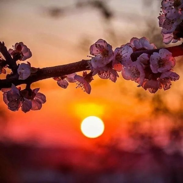 Весенний закат