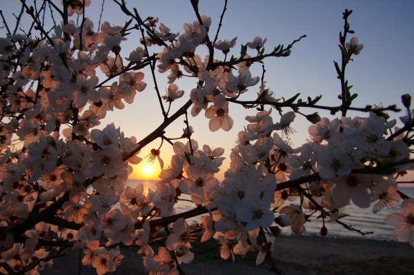 Весна Эстетика город