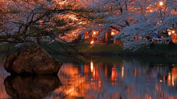 Японский сад ночью