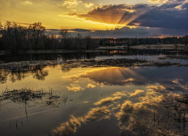 Весенний закат