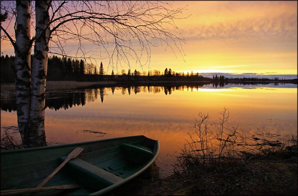 Весенняя ночь река