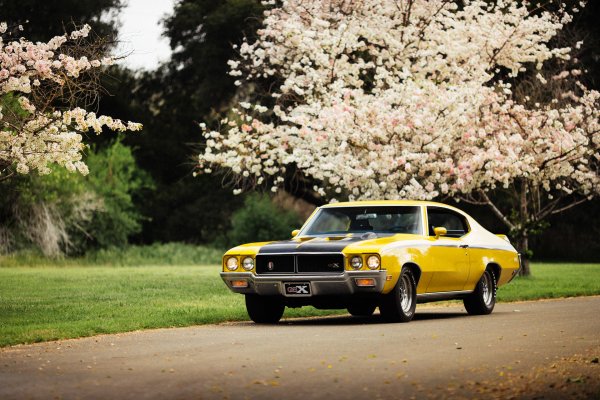 Buick GSX