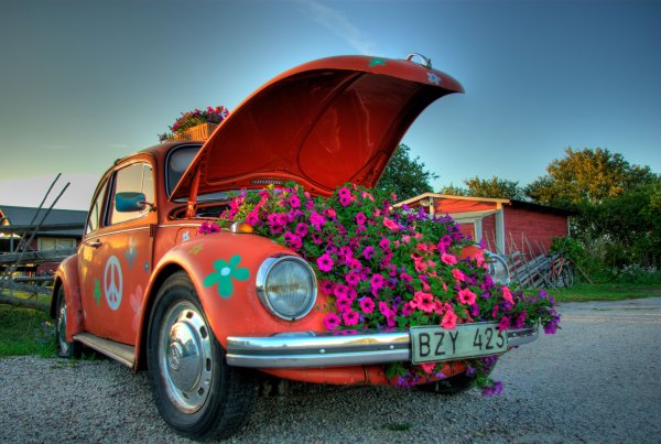 Лето автомобиль