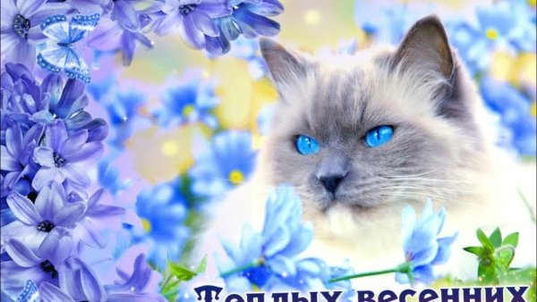 Красивые весенние пожелания