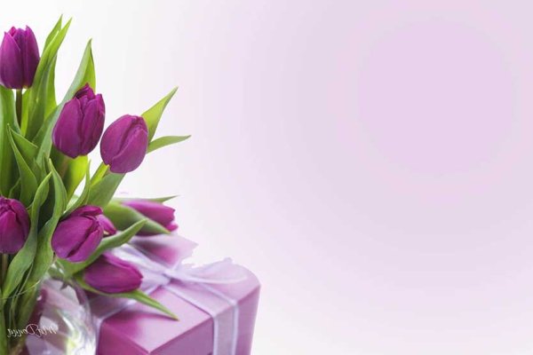 Фон для поздравления с 8 марта