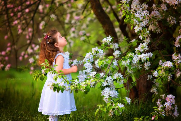 Дети в цветущих садах