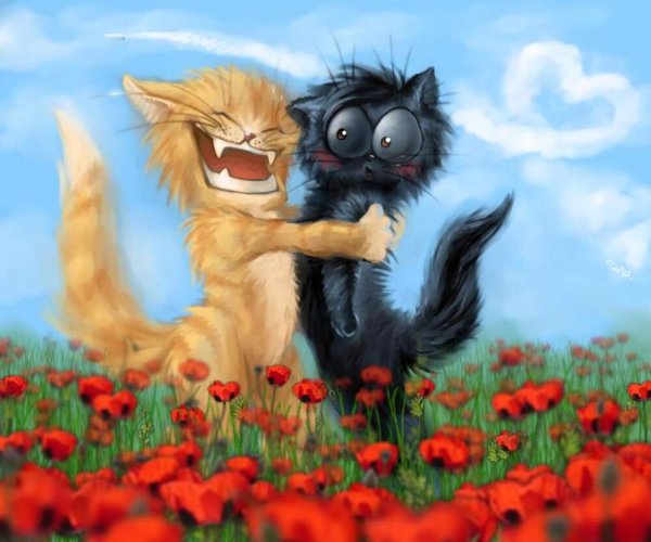 Любовь рыжего и черного кота