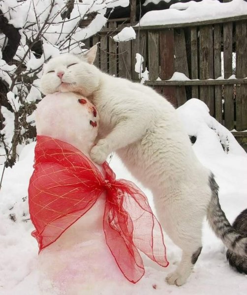 Художник-иллюстратор Mila Marquis.