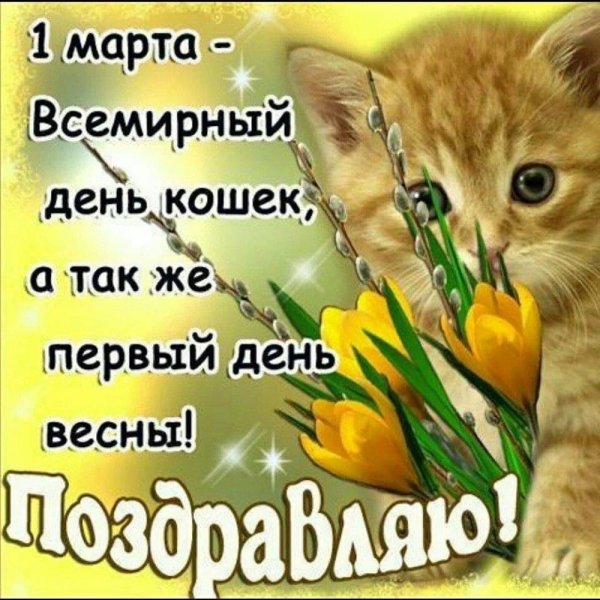 1 Марта день кошек