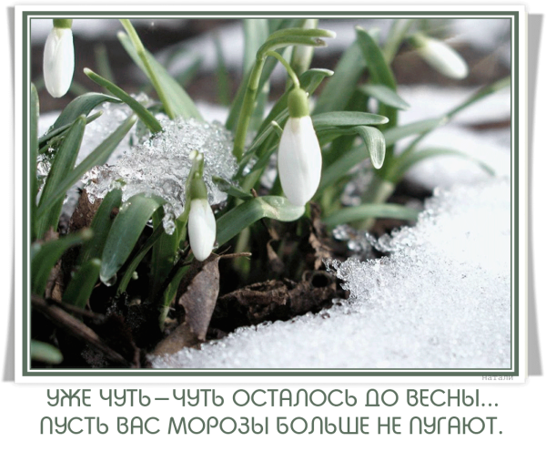 Снежное утро