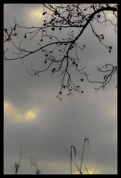 Пасмурное утро