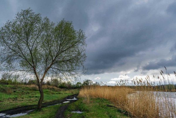 Пасмурный день весной