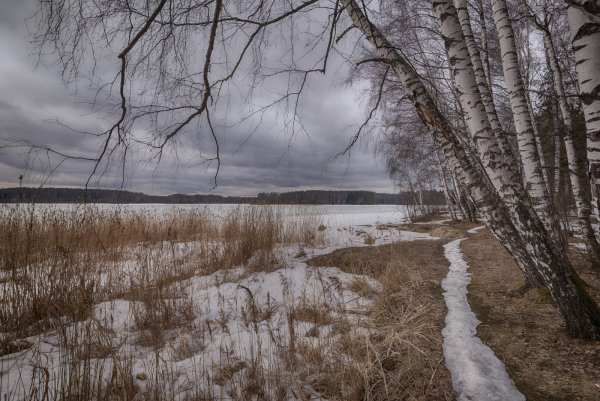 Весеннее ненастье