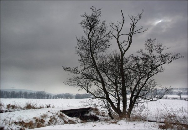 Дождь ранней весной