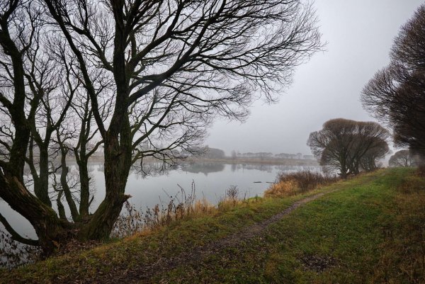 Весенний пейзаж Волга