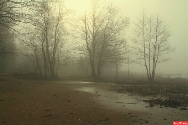 Доброе дождливое Весеннее утро