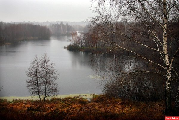 Дождь зимой