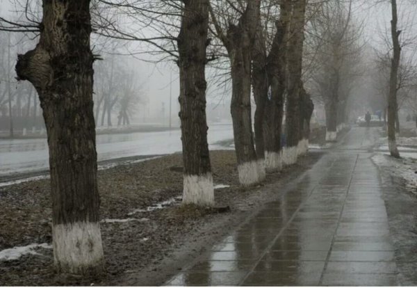 Художник Елена Юшина осень