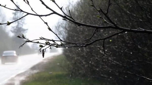 Дождь зимой