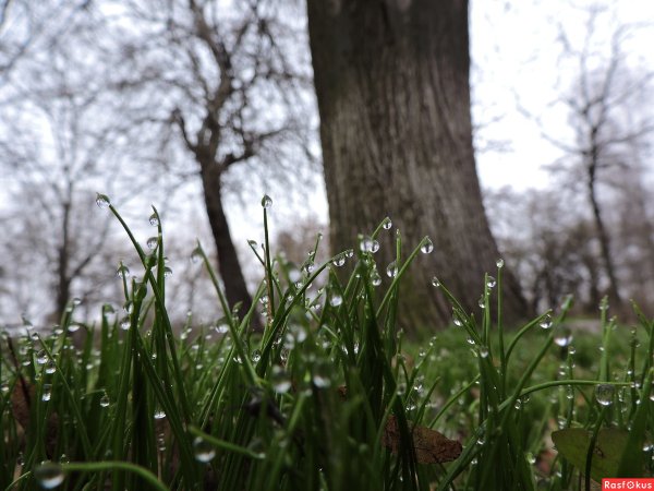 Раннее утро