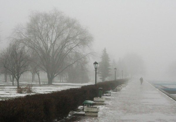 Болото трясина Топь вечер