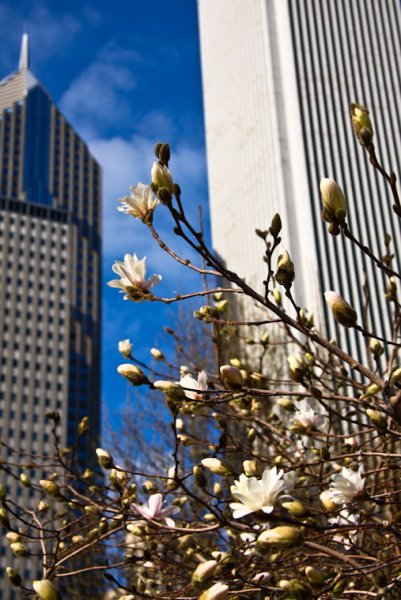 Весна в городе картинки красивые вертикальные