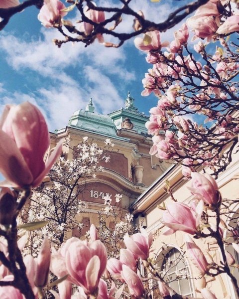 Весенний город