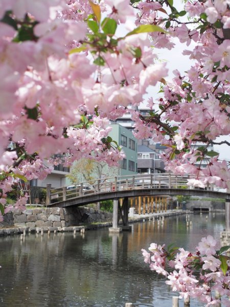 Провинция Бри Франция