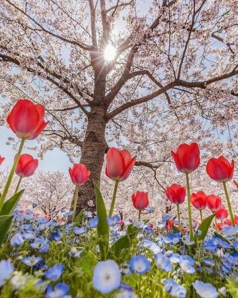 Весна природа оживает