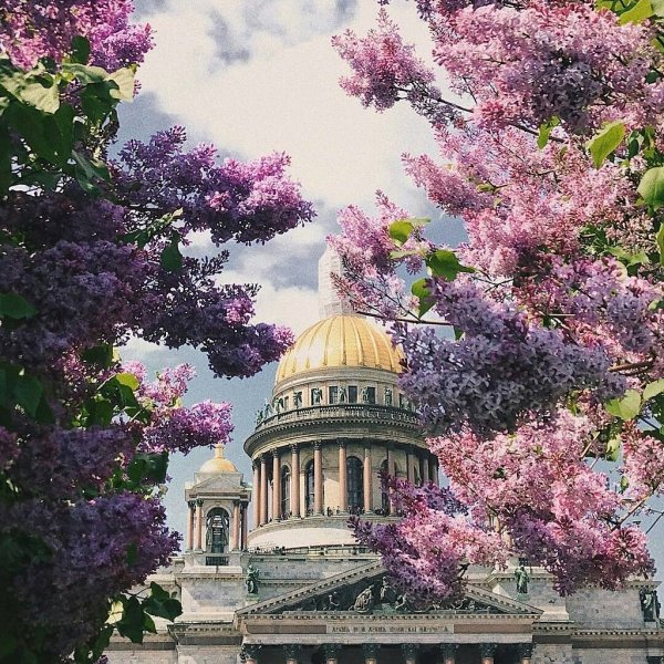 Красивый парк