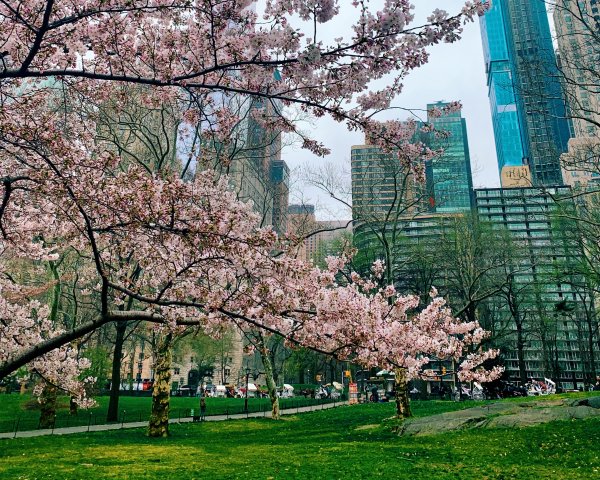 Бэттери парк Нью-Йорк Весна
