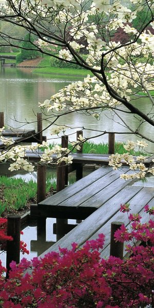 Весна в городе