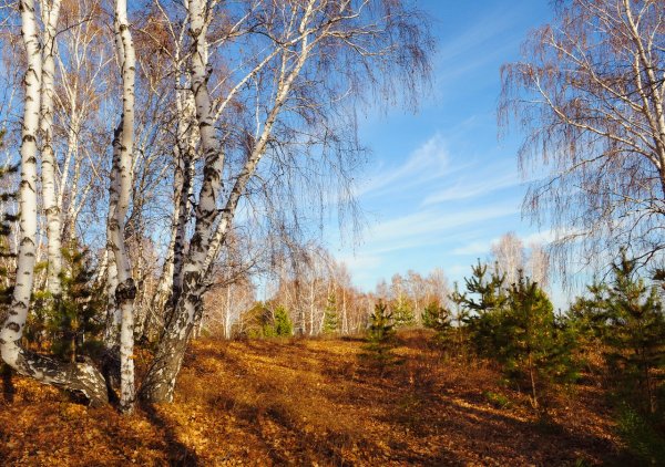 Красота русской природы