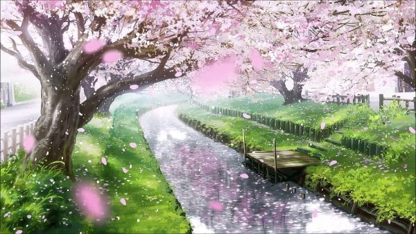 Сакура аниме