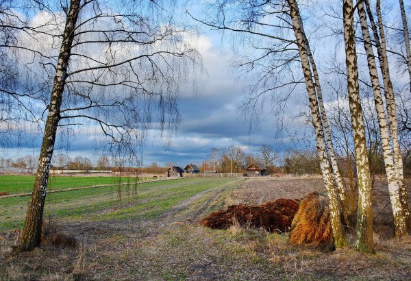 Поздняя Весна природа