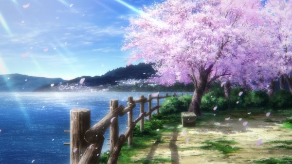 Миядзаки Сакура