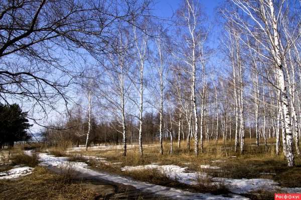 Весенние пейзажи средней полосы