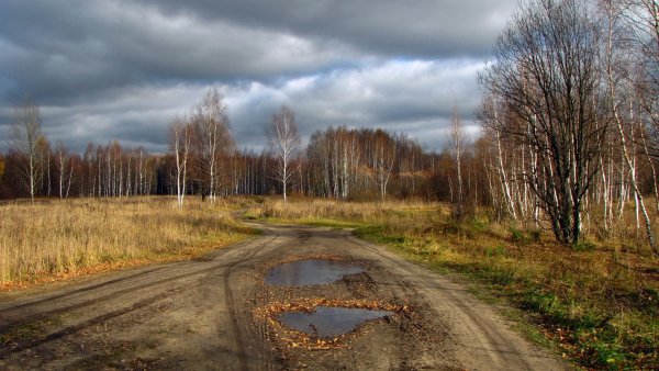 Проселочная дорога осень