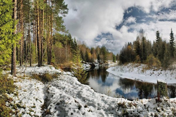 Природа Сибири весной