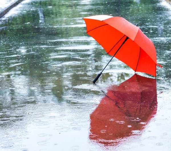 Дождь зонт